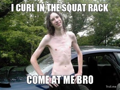 i-curl-in-the-squat-rack-come-at-me-bro.jpg - 231383