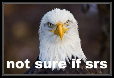 notsureifsrs.jpg - 237358