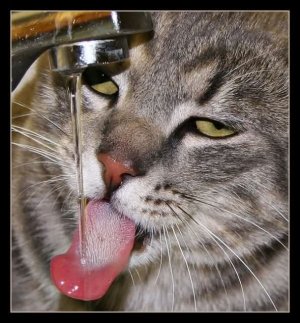 2efon7q.jpg - 237783