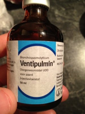 IMG_0846.jpg - 31162