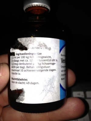 IMG_0848.jpg - 31163