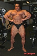 20080125neset01.jpg - 247738