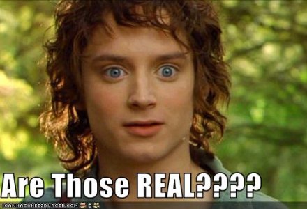 128861783217528032.jpg - 259998