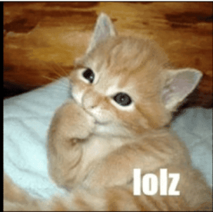 cute_cat.png - 264321