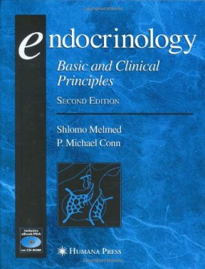 51llG01Eg-L._.jpg - 264430