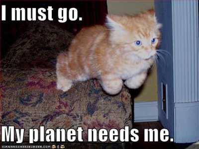 funny-pictures-planet-needs-superkitten.jpg - 264438