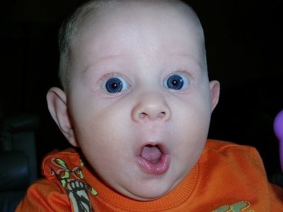 170481168_287d8a8182_z.jpg - 266442