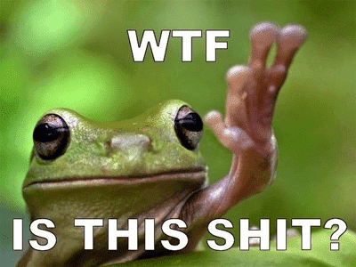 WTFisThisShit.png - 266760