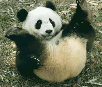 f_0ff6c49522.png - 270058