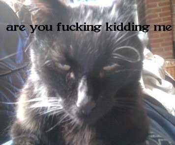 152cg8j.jpg - 270304