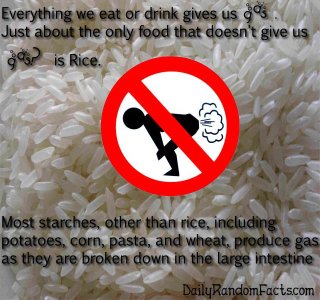 Gas-Prevention-Fact.jpg - 270549