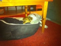 C0887556-7B89-413C-92DB-4112C7890D90-498-00000011F3C55F49.jpg - 270829