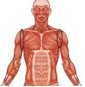 2rom0rc.jpg - 285062