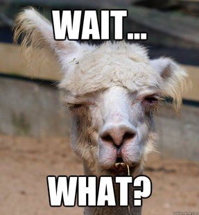 141v2pc.jpg - 288819