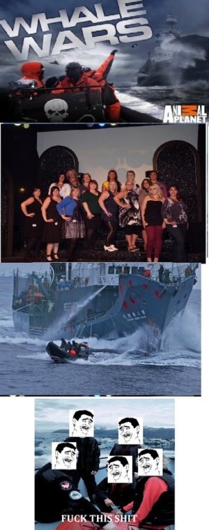 2v9d655.jpg - 293645