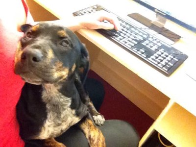 352orwk.jpg - 295990