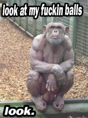 230003_Look.jpg - 316674