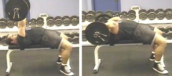 lyingtricep.jpg - 363480