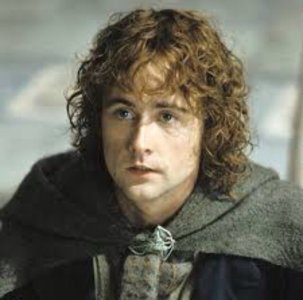 359zbrl.jpg - 375466