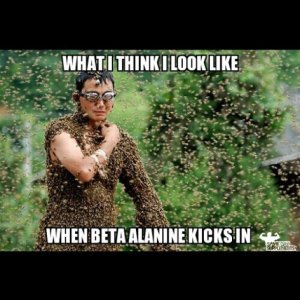 925308_242359065959136_1347748406_n.jpg - 375996