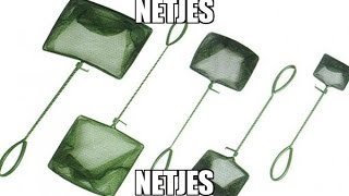 mqdefault.jpg - 384753