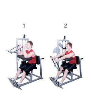 machine_triceps_extension.jpg - 386223