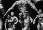 forum.bodybuilding.nl