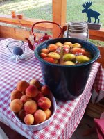 2020-07-17 06.52.24 1.jpg