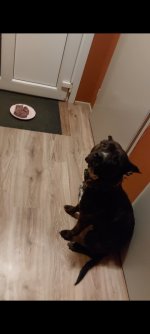 Screenshot_20220218-214755_Video Player.jpg