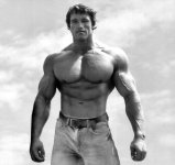 arnold-schwarzenegger-net-worth2.jpg