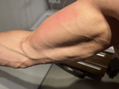 IMG_6052.jpeg - 597267