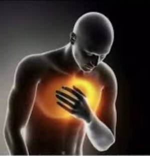 IMG_7172.jpeg - 601048