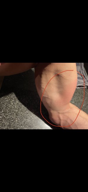 IMG_9271.jpeg - 607539