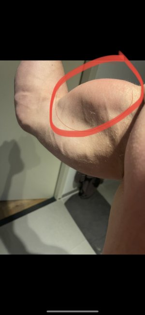 IMG_0361.jpeg - 610015