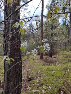 IMG_20240403_184748645_HDR.jpg - 620790