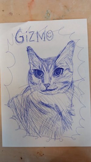 1000147966.jpg - 687414