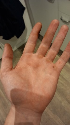 20251227_205158.jpg - 688024