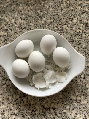 IMG_1874.jpeg - 688922