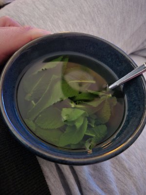 1000039155.jpg - 688954