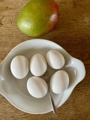 IMG_3418.jpeg - 689003