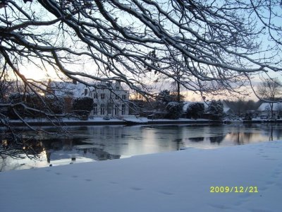 SL271032.jpg - 11433