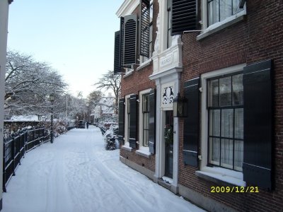 SL271034.jpg - 11434