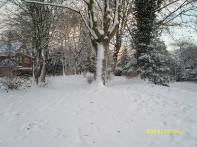 SL271029.jpg - 11436