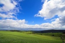 173193647_cb9fdb33b3_m.jpg - 102681