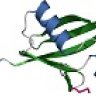 Ubiquitin