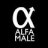alfamale123