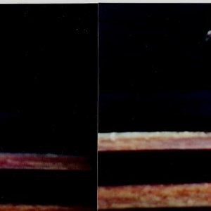 Natural Bodybuilding contest Den Haag