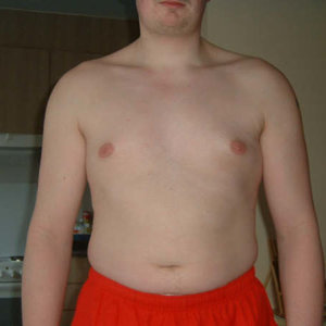 beginfiguur dreamske 2