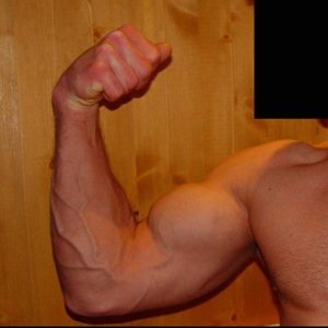 bicep 6 maanden