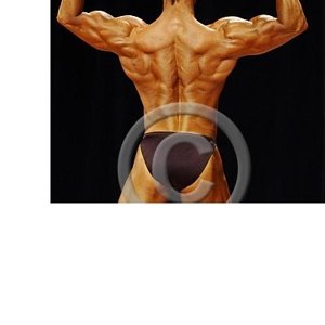 Double Biceps achter